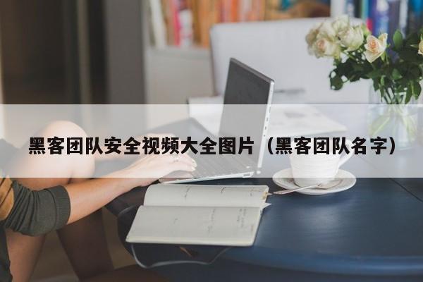 黑客团队安全视频大全图片（黑客团队名字）