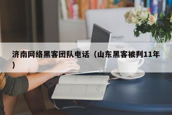 济南网络黑客团队电话（山东黑客被判11年）