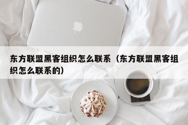 东方联盟黑客组织怎么联系（东方联盟黑客组织怎么联系的）