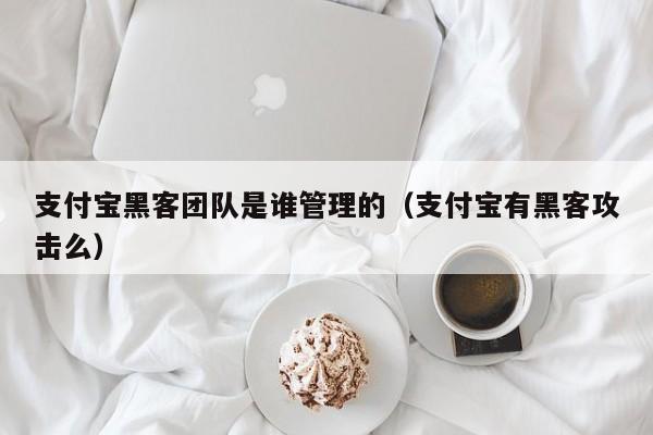 支付宝黑客团队是谁管理的（支付宝有黑客攻击么）