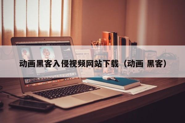 动画黑客入侵视频网站下载（动画 黑客）