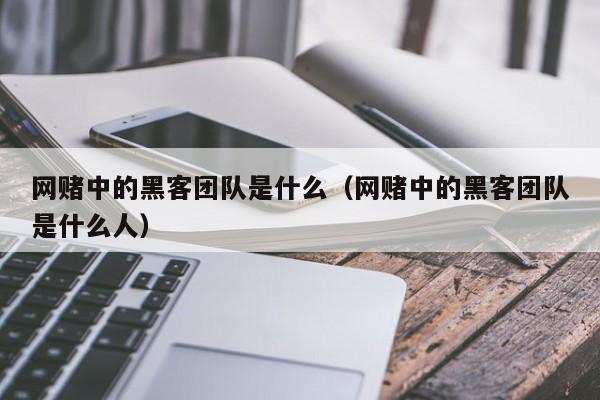 网赌中的黑客团队是什么（网赌中的黑客团队是什么人）