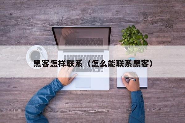 黑客怎样联系（怎么能联系黑客）