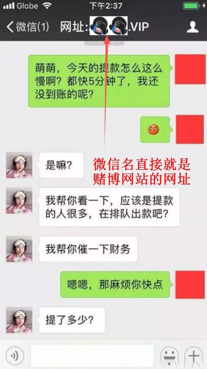 黑客团队封号视频真实(黑客团队封号视频真实吗)