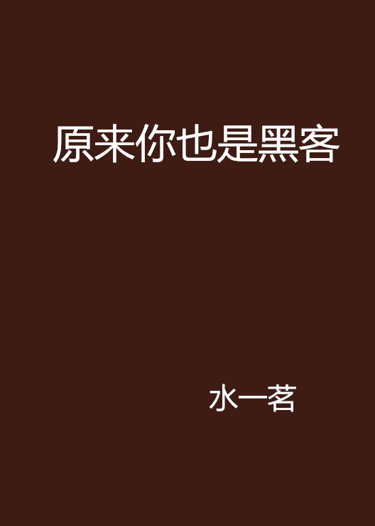一人和一个黑客团队的小说(一个是黑客一个是医生的小说)