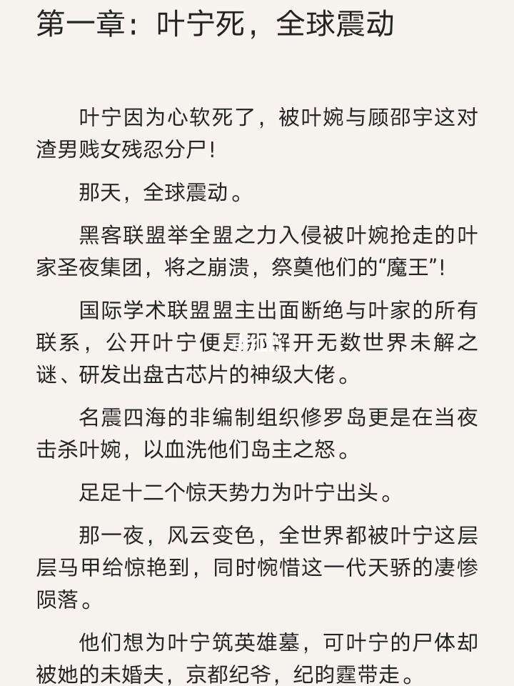 黑客最强团队小说阅读(黑客最强团队小说阅读全文)