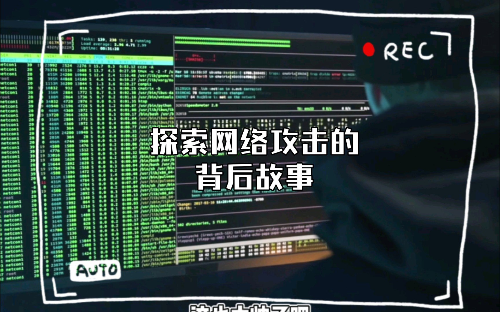 黑客团队网站(黑客团队排行榜前10名)